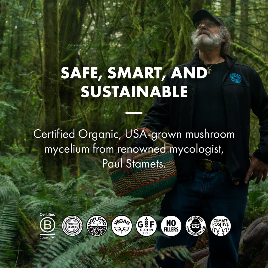 Lion'S Mane - 60 Capsules (30 Servings)