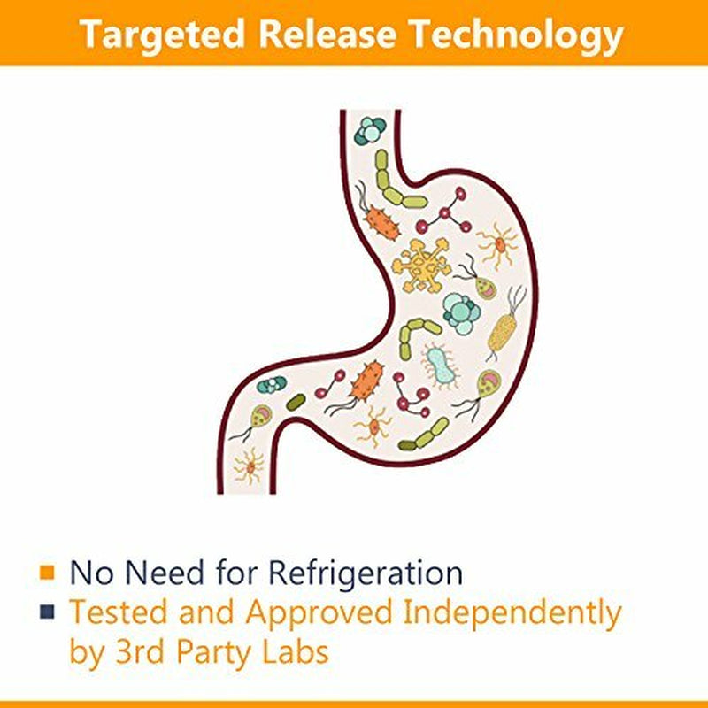 Newrhythm Probiotics 50 Billion CFU 20 Strains, 60 Veggie Capsules, Targeted